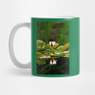 Reflected Waterlily Mug